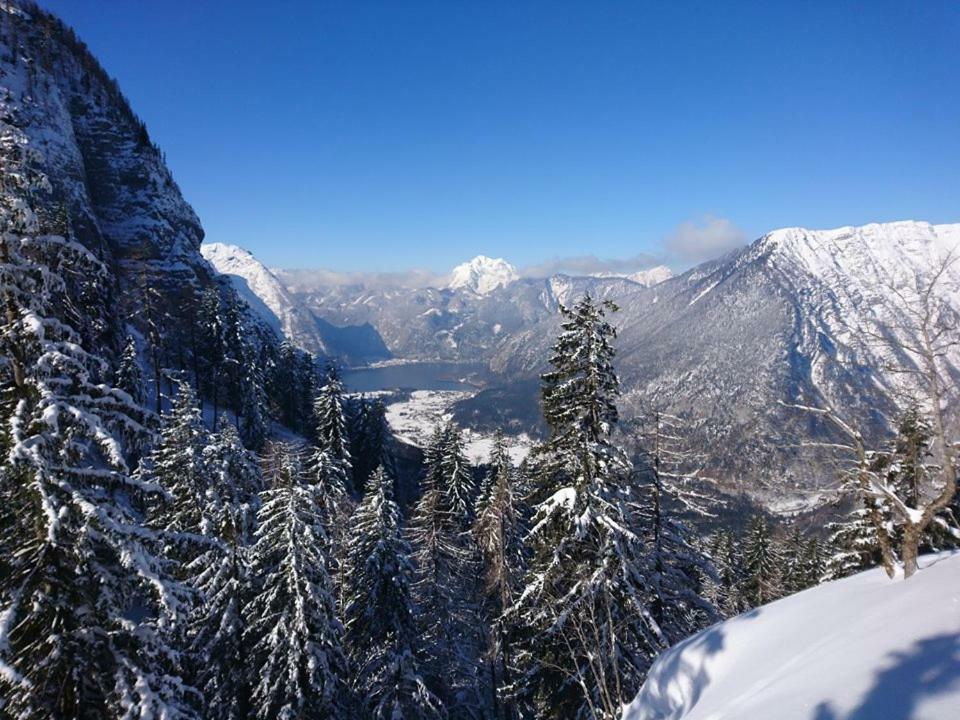 Sportpension Schober Obertraun Exterior foto